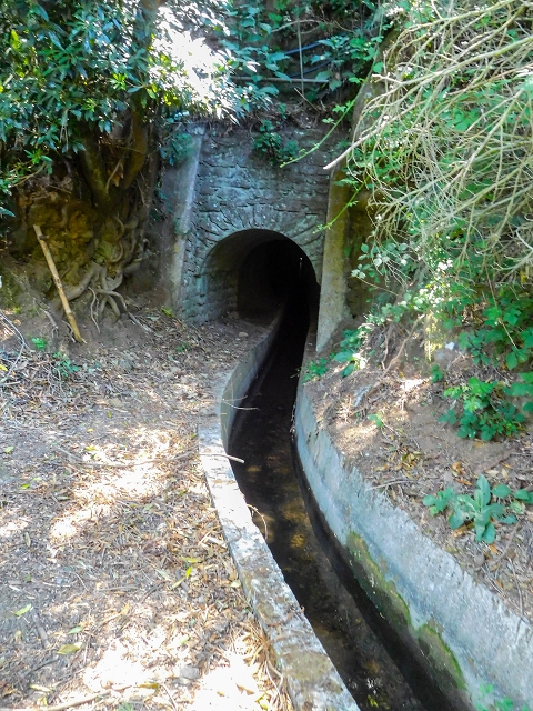 19 August 2017 On the trail of the Levada do Pico do Arvoredo in and around Camacha — Via Ribeirinha to the start of the inaccessible tunnel and the north-western exit of the Nogueira tunnel — photo 7