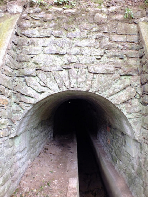 19 August 2017 On the trail of the Levada do Pico do Arvoredo in and around Camacha — Via Ribeirinha to the start of the inaccessible tunnel and the north-western exit of the Nogueira tunnel — photo 8