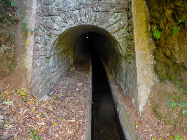 Levada dos Tornos sul — Troço 3 — foto 20