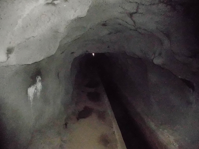 19 August 2017 On the trail of the Levada do Pico do Arvoredo in and around Camacha — Through the Nogueira tunnel to the levada divider at the south-western entrance — photo 3