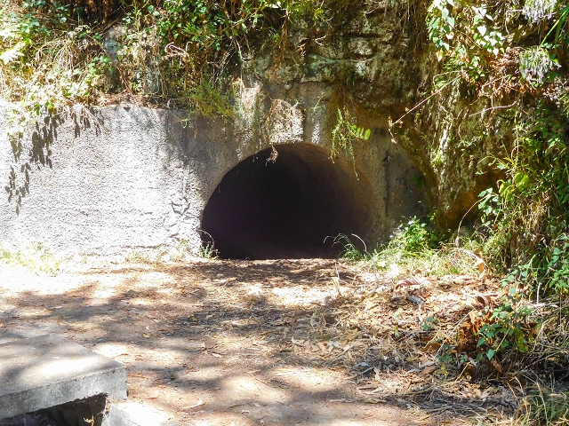 Levada dos Tornos sul — Troço 3 — foto 18