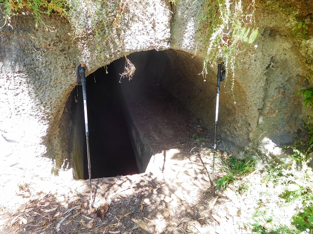 19 August 2017 On the trail of the Levada do Pico do Arvoredo in and around Camacha — Through the Nogueira tunnel to the levada divider at the south-western entrance — photo 6