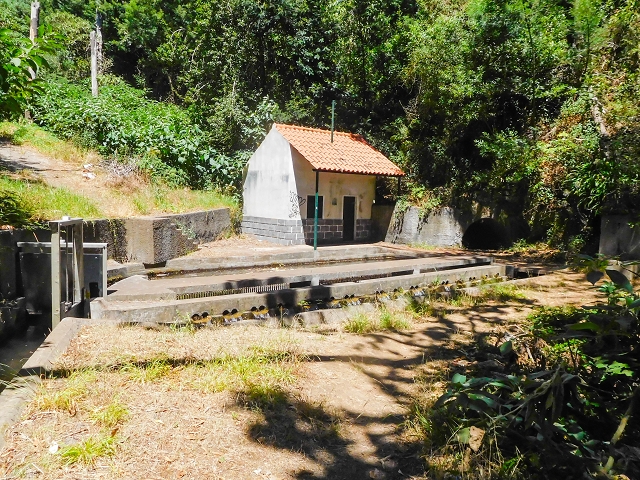 Levada dos Tornos sul — Troço 3 — foto 16