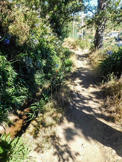 Levada da Serra do Faial von Lamaceiros/Lombo da Raiz zum Pico do Infante — Abschnitt 3 — Foto 1