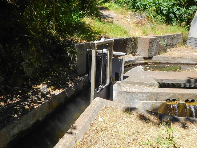 19 August 2017 On the trail of the Levada do Pico do Arvoredo in and around Camacha — Through the Nogueira tunnel to the levada divider at the south-western entrance — photo 8