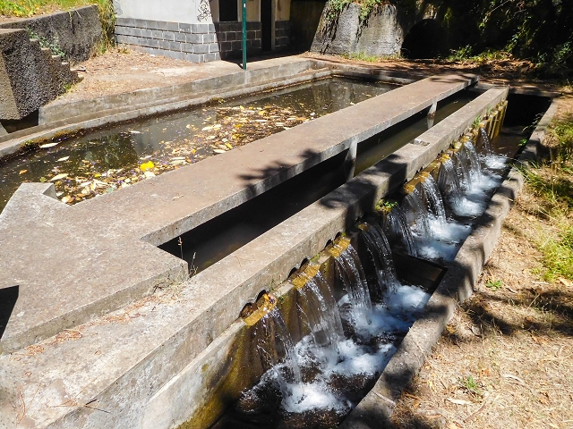 Levada dos Tornos sul — Troço 3 — foto 17