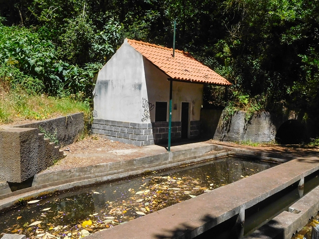 19 August 2017 On the trail of the Levada do Pico do Arvoredo in and around Camacha — Through the Nogueira tunnel to the levada divider at the south-western entrance — photo 10