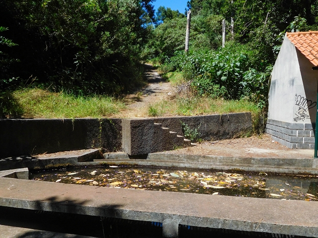 19 August 2017 On the trail of the Levada do Pico do Arvoredo in and around Camacha — Through the Nogueira tunnel to the levada divider at the south-western entrance — photo 14