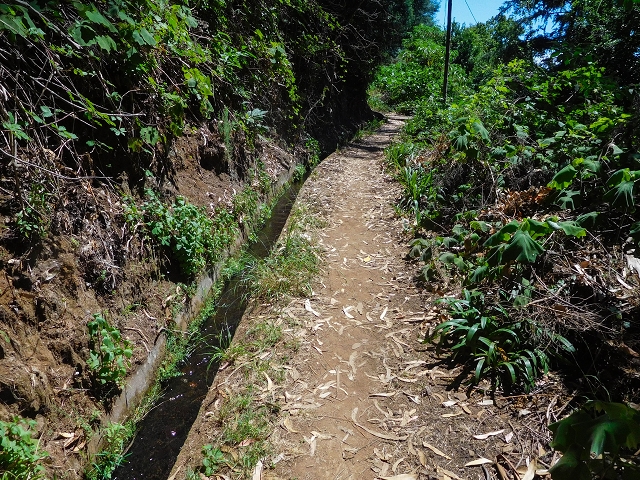 Levada do Pico do Arvoredo — Entlang des Ersatzzuflusses zur Levada do Pico do Arvoredo — Foto 2