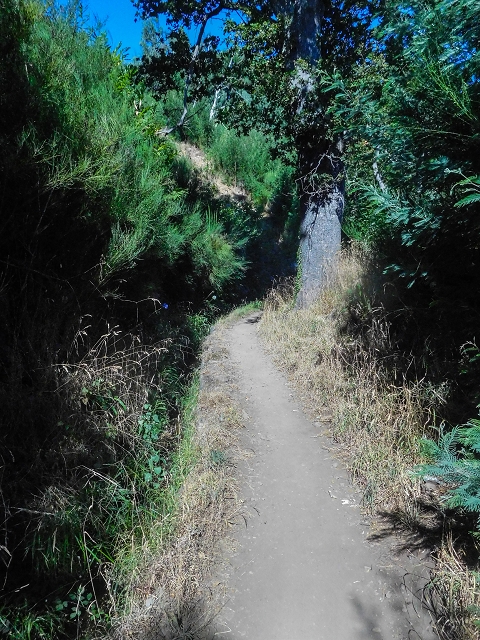 Levada da Serra do Faial von Lamaceiros/Lombo da Raiz zum Pico do Infante — Abschnitt 3 — Foto 2