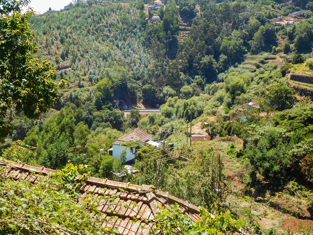 19 August 2017 On the trail of the Levada do Pico do Arvoredo in and around Camacha — Along the replacement inflow of the Pico do Arvoredo — photo 3