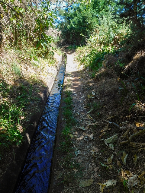 19 August 2017 On the trail of the Levada do Pico do Arvoredo in and around Camacha — Along the replacement inflow of the Pico do Arvoredo — photo 8