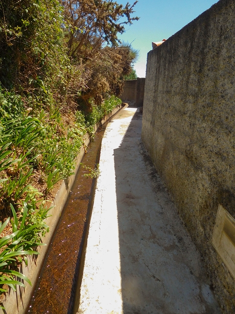 19 August 2017 On the trail of the Levada do Pico do Arvoredo in and around Camacha — Along the replacement inflow of the Pico do Arvoredo — photo 9