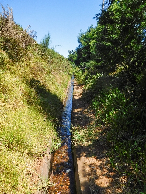 Levada do Pico do Arvoredo — Entlang des Ersatzzuflusses zur Levada do Pico do Arvoredo — Foto 4