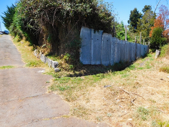 19 August 2017 On the trail of the Levada do Pico do Arvoredo in and around Camacha — Along the replacement inflow of the Pico do Arvoredo — photo 13