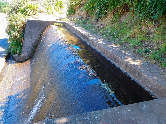 19 August 2017 On the trail of the Levada do Pico do Arvoredo in and around Camacha — Along the replacement inflow of the Pico do Arvoredo — photo 15