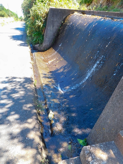 Levada do Pico do Arvoredo — Entlang des ER-205 zum Wasserhaus und zum Speicherbecken — Foto 1