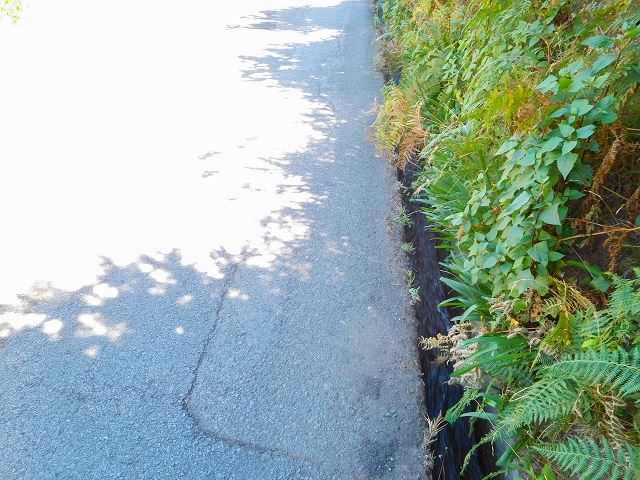 Levada do Pico do Arvoredo — Entlang des ER-205 zum Wasserhaus und zum Speicherbecken — Foto 2