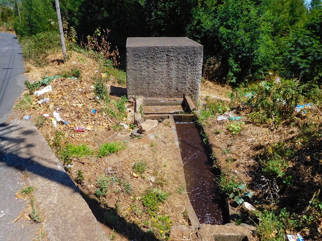 Levada do Pico do Arvoredo — Entlang des ER-205 zum Wasserhaus und zum Speicherbecken — Foto 3