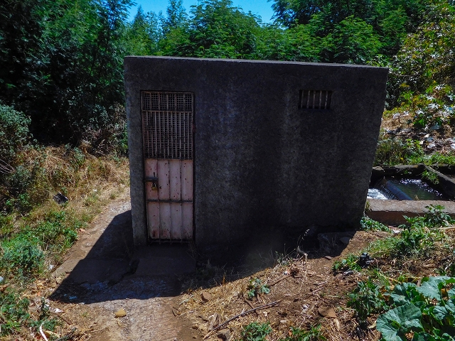 19 August 2017 On the trail of the Levada do Pico do Arvoredo in and around Camacha — Along the road to the levada house and the present course of the water on to the reservoir — photo 5