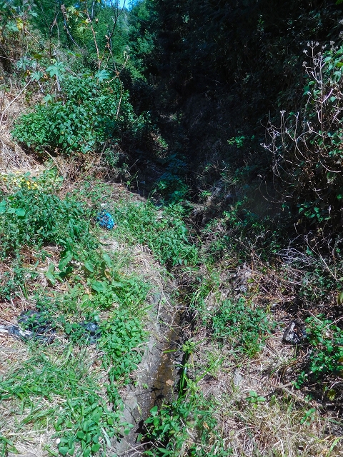 Levada do Pico do Arvoredo — Der alte Levadaverlauf der Levada dos Zimbreiros — Foto 1