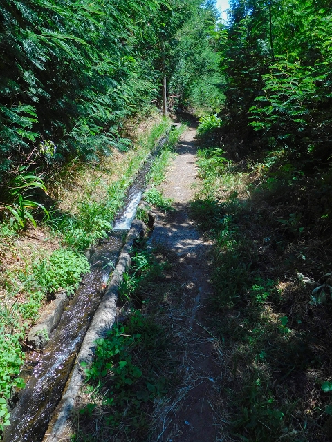 Levada do Pico do Arvoredo — Entlang des ER-205 zum Wasserhaus und zum Speicherbecken — Foto 5