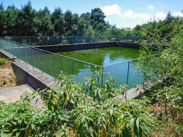 Levada do Pico do Arvoredo — Das Speicherbecken — Foto 1