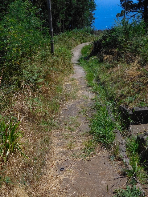19 August 2017 On the trail of the Levada do Pico do Arvoredo in and around Camacha — The disused section of the Levada da Azenha below the water house — photo 4
