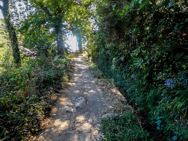 Levada da Serra do Faial von Lamaceiros/Lombo da Raiz zum Pico do Infante — Abschnitt 3 — Foto 5