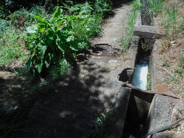 Levada do Pico do Arvoredo — Entlang des ER-205 zum Wasserhaus und zum Speicherbecken — Foto 7