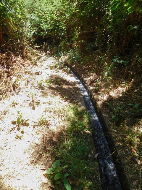 Levada do Pico do Arvoredo — Entlang des ER-205 zum Wasserhaus und zum Speicherbecken — Foto 8