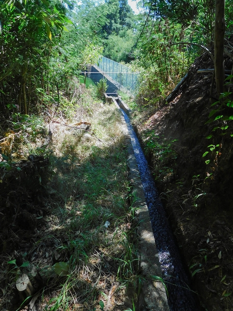 19 August 2017 On the trail of the Levada do Pico do Arvoredo in and around Camacha — Along the road to the levada house and the present course of the water on to the reservoir — photo 12
