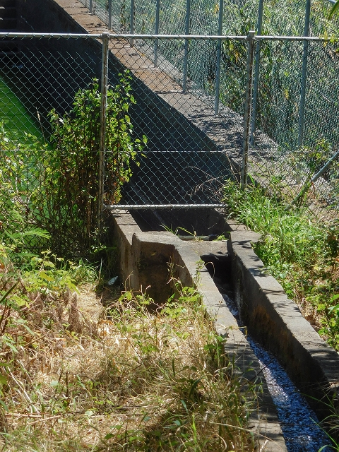 Levada do Pico do Arvoredo — Entlang des ER-205 zum Wasserhaus und zum Speicherbecken — Foto 9