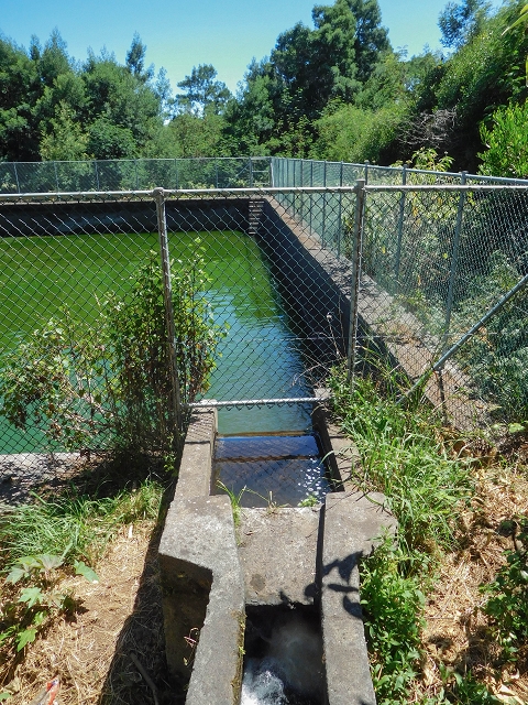 Levada do Pico do Arvoredo — Entlang des ER-205 zum Wasserhaus und zum Speicherbecken — Foto 10