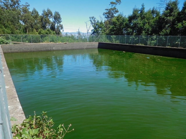 19 August 2017 On the trail of the Levada do Pico do Arvoredo in and around Camacha — The reservoir — photo 4