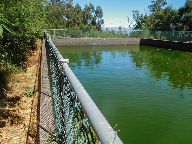 Levada do Pico do Arvoredo — Das Speicherbecken — Foto 5