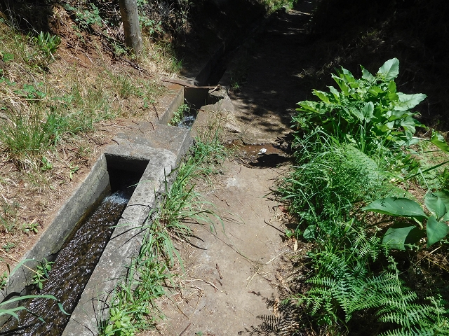 Levada do Pico do Arvoredo — Entlang des ER-205 zum Wasserhaus und zum Speicherbecken — Foto 6