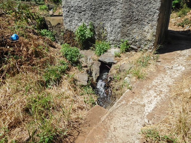 Levada do Pico do Arvoredo — Entlang des ER-205 zum Wasserhaus und zum Speicherbecken — Foto 4