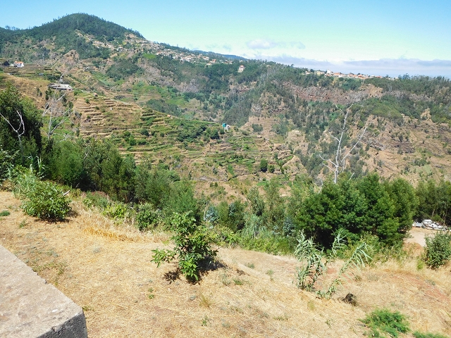 19 August 2017 On the trail of the Levada do Pico do Arvoredo in and around Camacha — Back to the Levada dos Tornos — photo 4