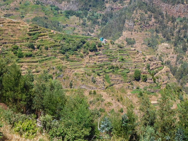 19 August 2017 On the trail of the Levada do Pico do Arvoredo in and around Camacha — Back to the Levada dos Tornos — photo 5
