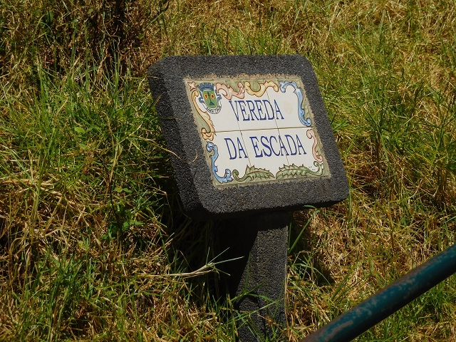19 August 2017 On the trail of the Levada do Pico do Arvoredo in and around Camacha — Back to the Levada dos Tornos — photo 7