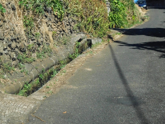 Levada da Morena — Abschnitt 3 — Foto 9