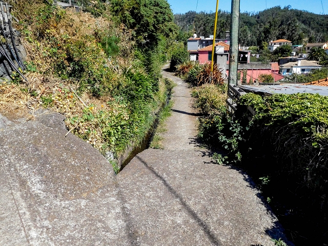 19 August 2017 On the trail of the Levada do Pico do Arvoredo in and around Camacha — On the first intact section of the Levada do Pico do Arvoredo towards the Madre — photo 1