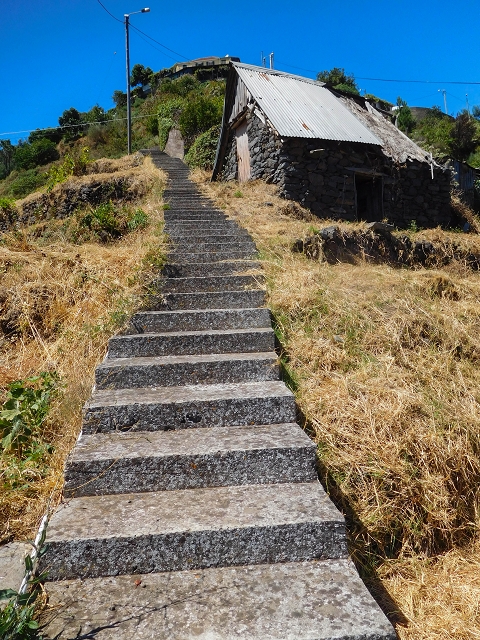 19 August 2017 On the trail of the Levada do Pico do Arvoredo in and around Camacha — Back to the Levada dos Tornos — photo 9
