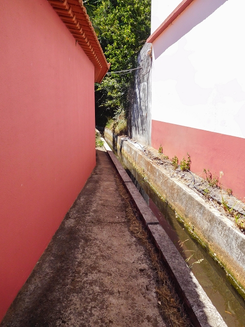 Levada dos Tornos sul — Troço 3 — foto 28