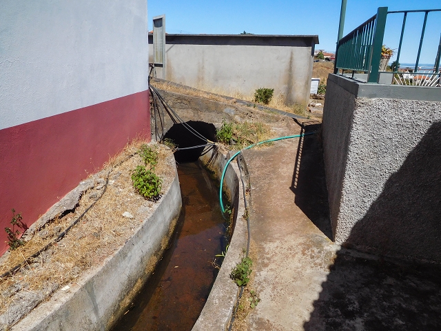19 August 2017 On the trail of the Levada do Pico do Arvoredo in and around Camacha — Back on the Levada dos Tornos — photo 2