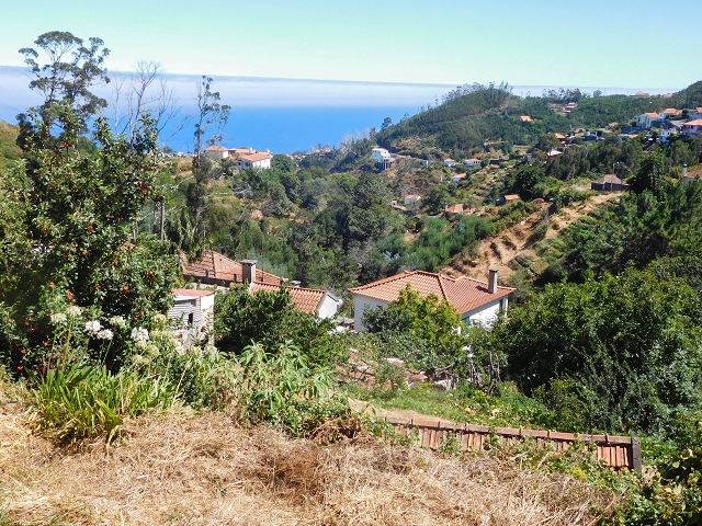 19 August 2017 On the trail of the Levada do Pico do Arvoredo in and around Camacha — Back on the Levada dos Tornos — photo 5