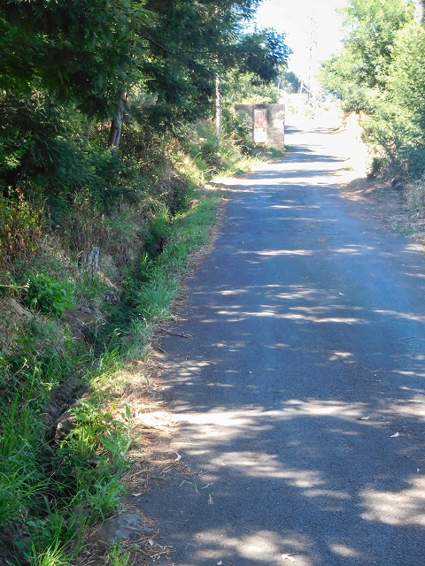 Levada do Pico do Arvoredo — Altes Wasserhaus vor Erreichen der ER-205 — Foto 1