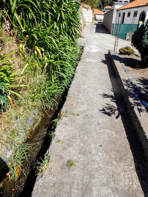 19 August 2017 On the trail of the Levada do Pico do Arvoredo in and around Camacha — On the first intact section of the Levada do Pico do Arvoredo towards the Madre — photo 4