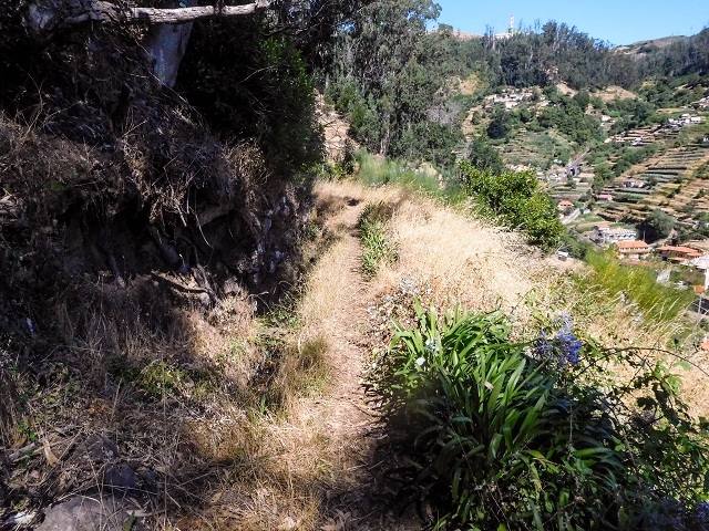 19 August 2017 On the trail of the Levada do Pico do Arvoredo in and around Camacha — On the first intact section of the Levada do Pico do Arvoredo towards the Madre — photo 17
